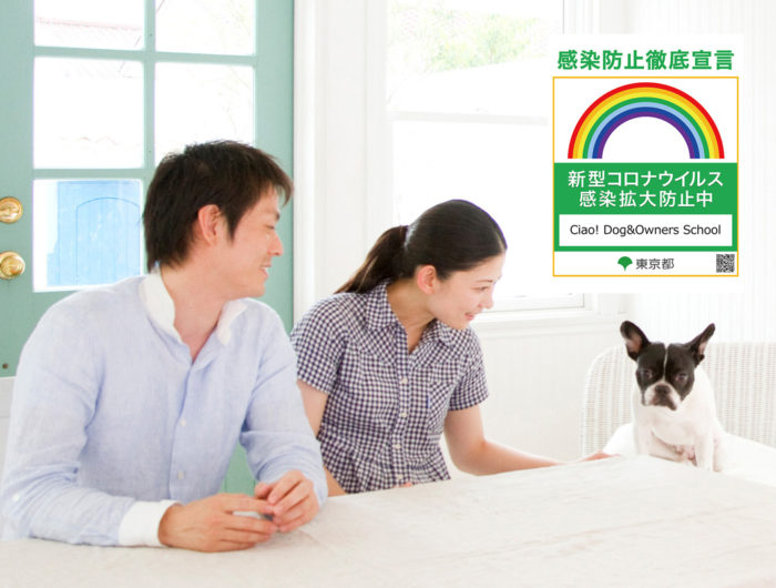 Ciao ドッグスクール杉並校 犬のしつけ教室 訓練 東京 杉並